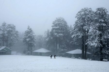 Top Winter Destinations in India to Enjoy Snow