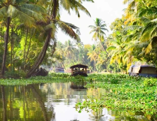 Alleppey