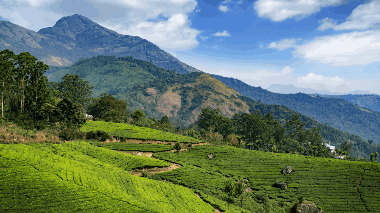 Kerala