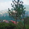 Mussoorie Triphills.com (4)