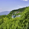 Mussoorie Triphills.com (4)