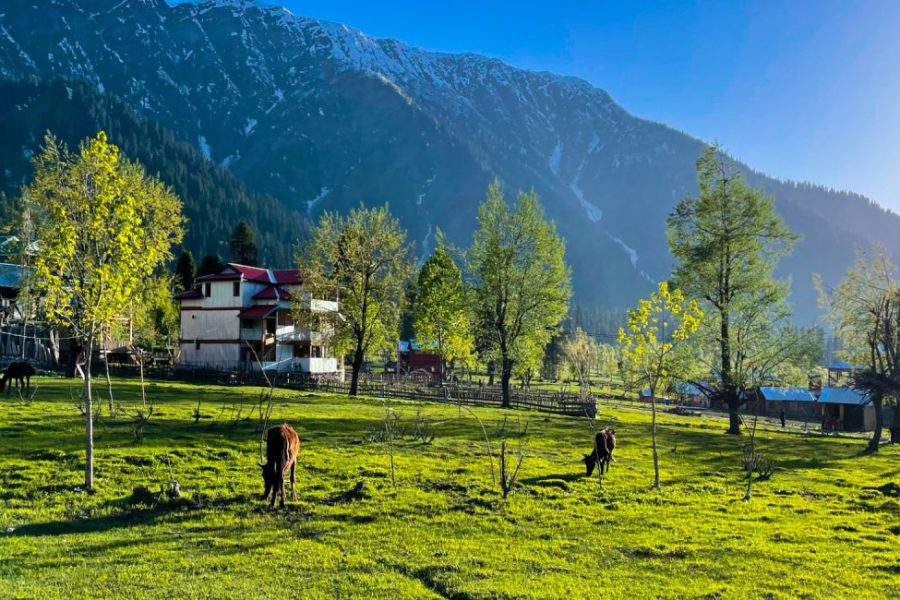 Pahalgam Triphills.com