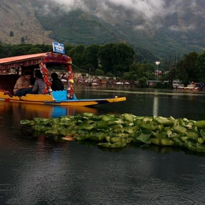 Srinagar