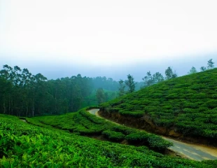 Wayanad