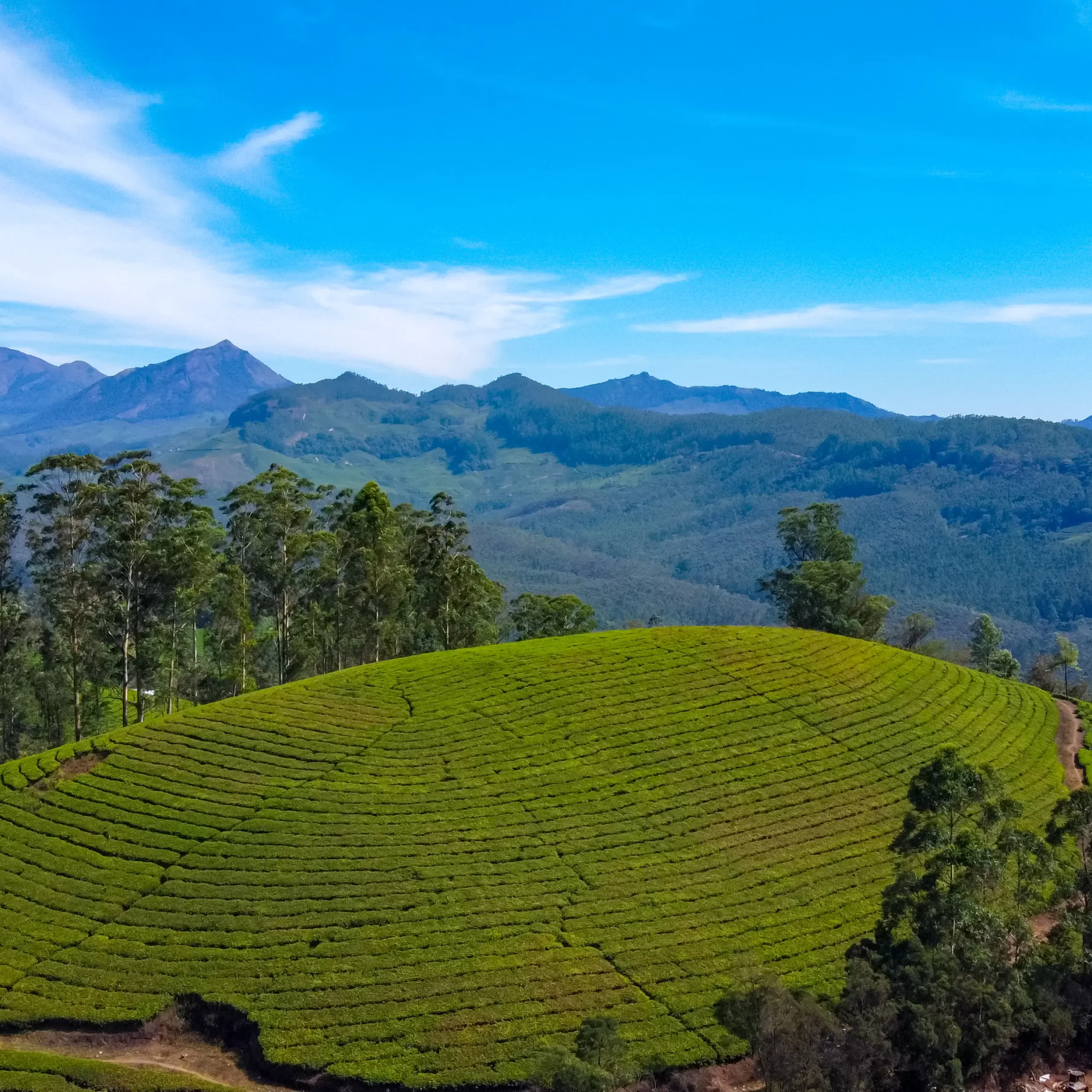 Munnar