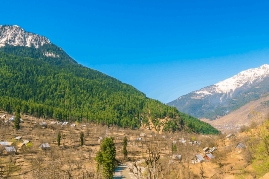 Auli Tour Packages