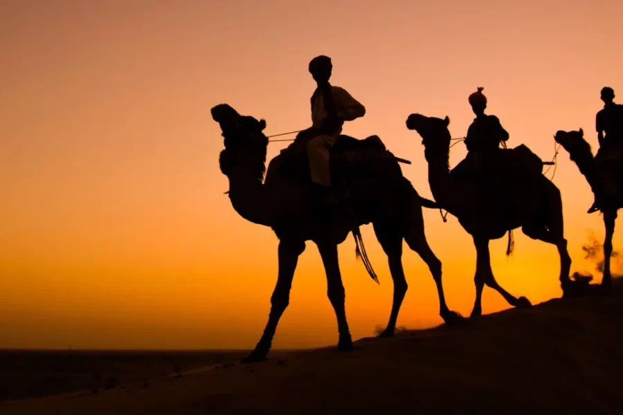 Rajasthan Tour Packages Triphills.com (1)