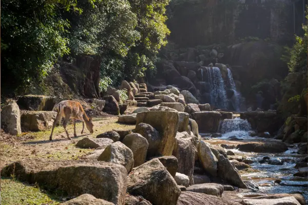 Chitwan National Park