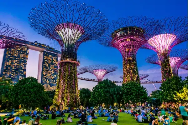 Gardens by the Bay