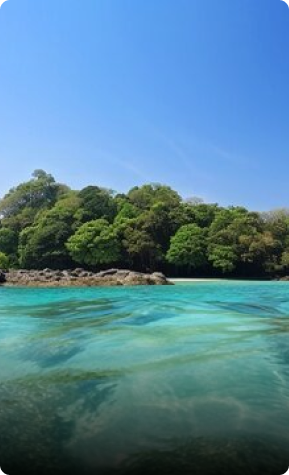 Andaman & Nicobar