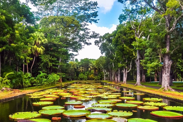 Pamplemousses Botanical Garden