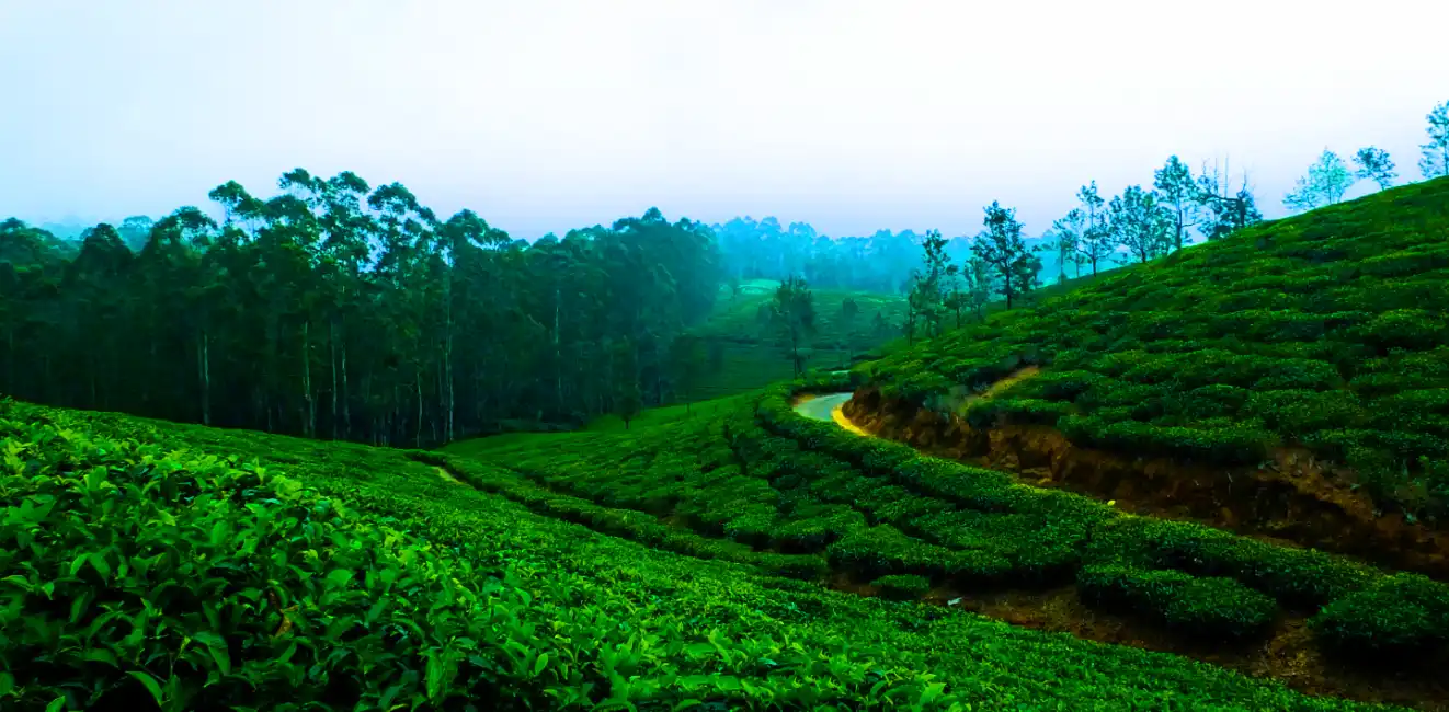 Tamil Nadu Triphills.com