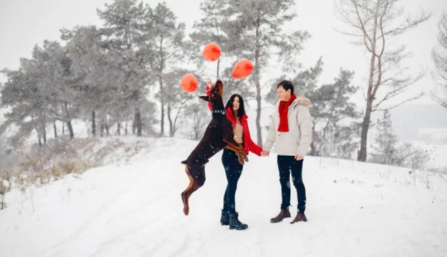 Kashmir Package For 5 Nights 6 Days