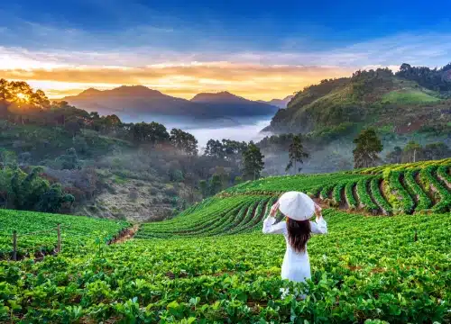 munnar kerala