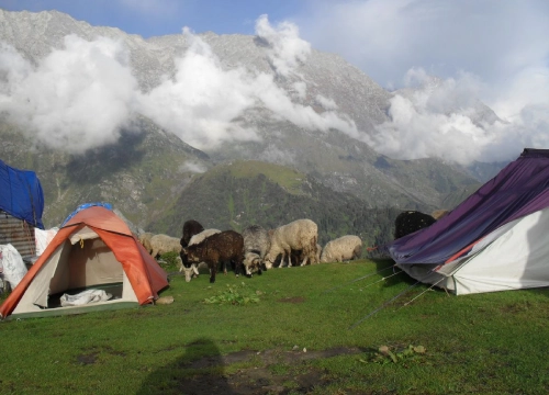 Himachal Tour