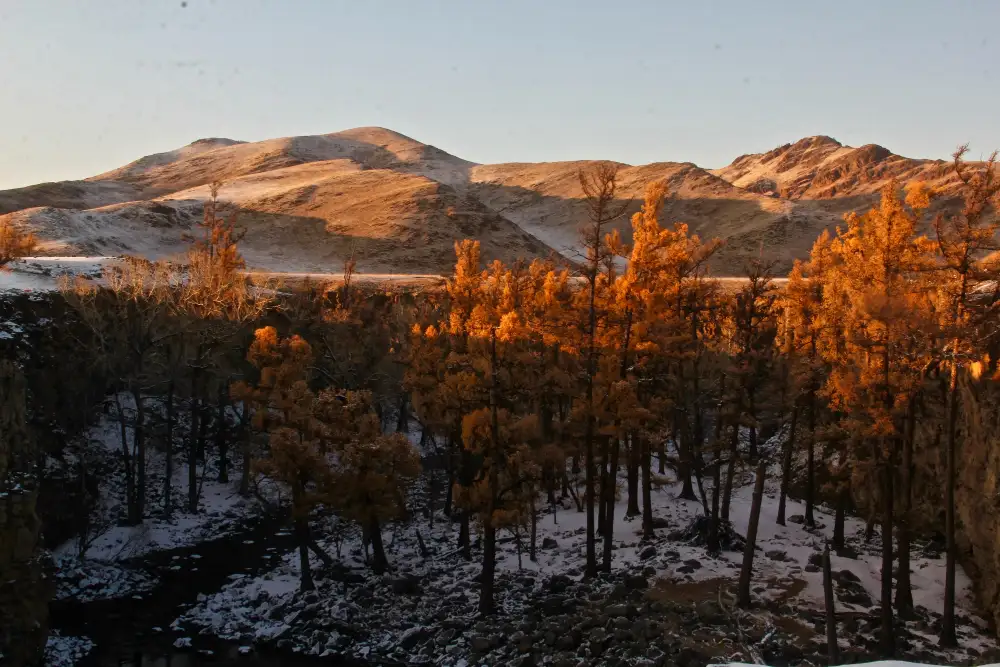 October in Ladakh — Autumn Colours & Quiet Valleys