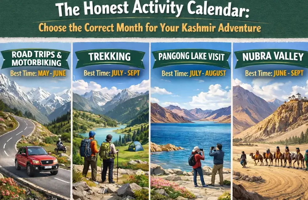 Ladakh travel activity calendar showing best months for road trips, trekking, Pangong Lake visit, and Nubra Valley.