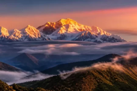 Best Premium Resorts in Sikkim for Couples, Families & Honeymooners