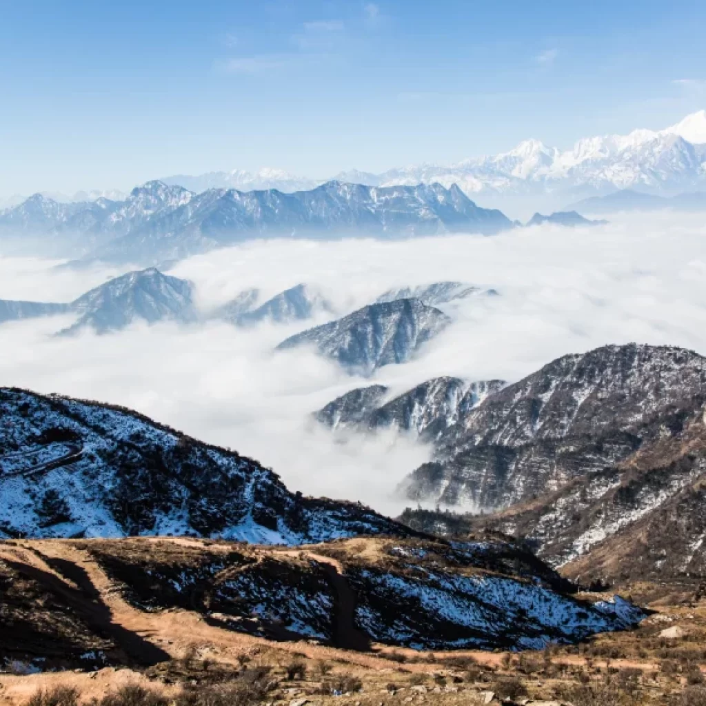 Snow-covered mountain lake with decorated yaks beside the shore under a cloudy sky.